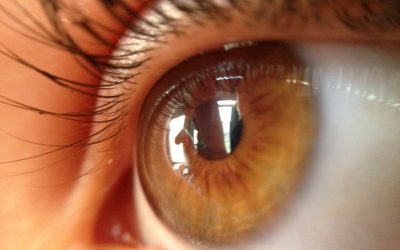 8 dicas para proteger seus olhos e mantê-los saudáveis