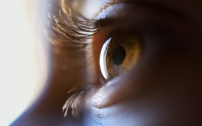 O desenvolvimento dos seus olhos